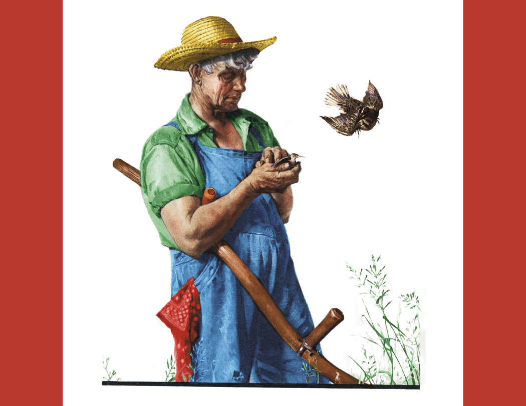 HotLine® Products Rockwell Pharmacy Special Markets Calendar 7