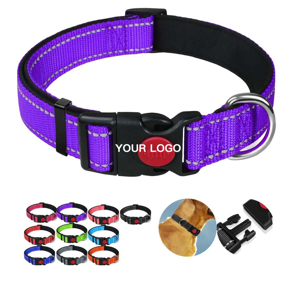 Weather Resistant Dog Collar for Walking and Training 7