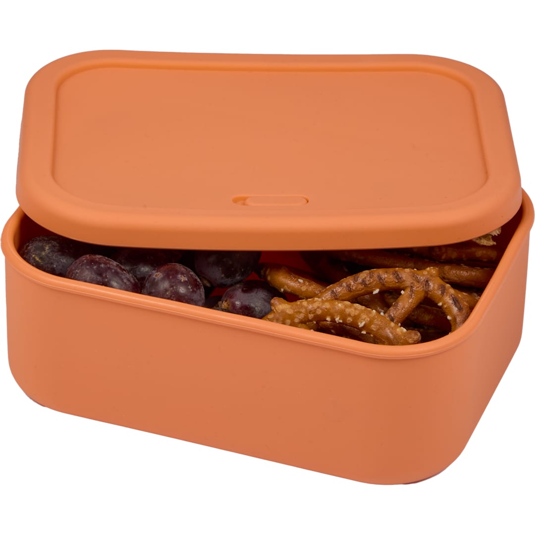 Silicone Food Storage Box with Air Valve 44oz 109