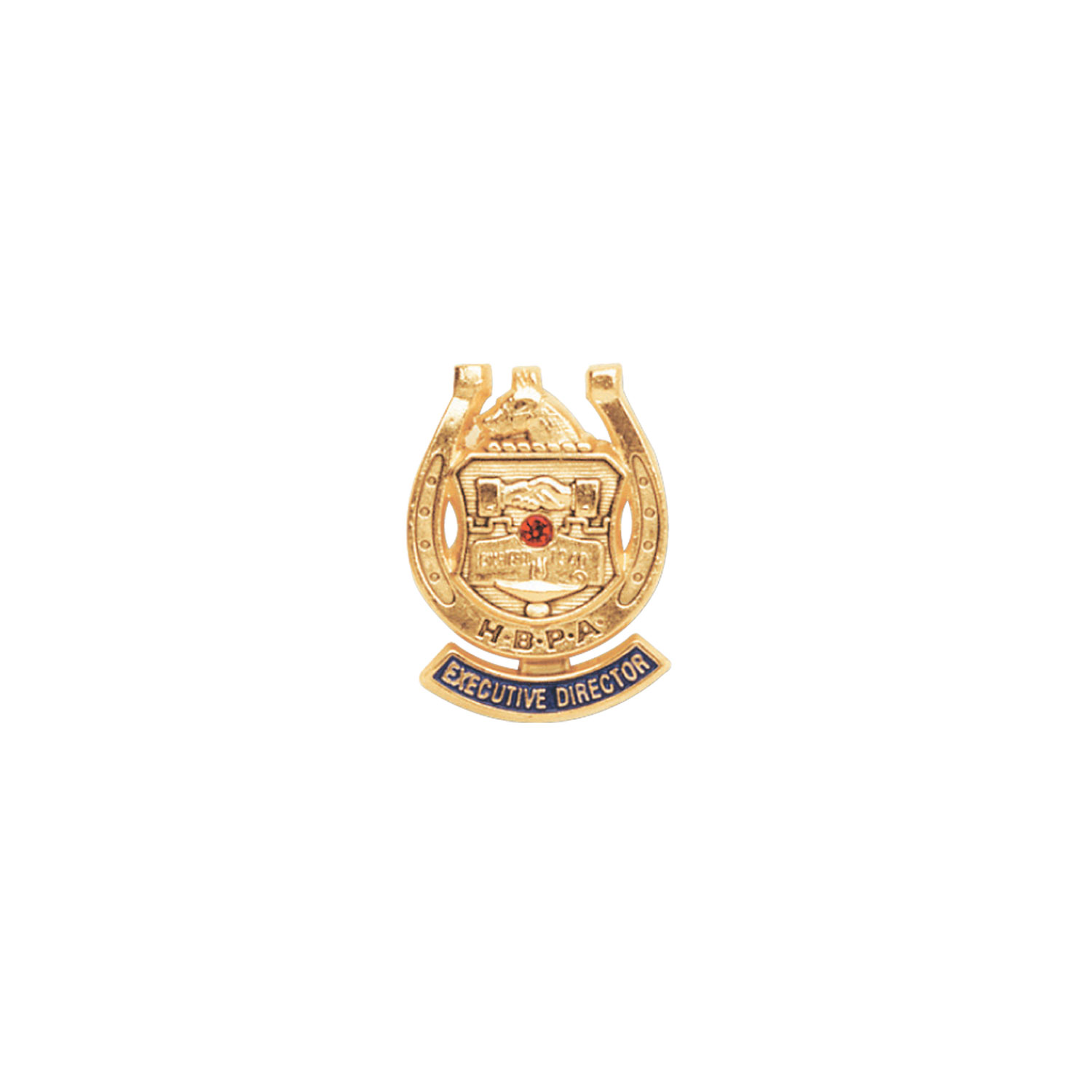 Vip Lapel Pins - Die Struck 1