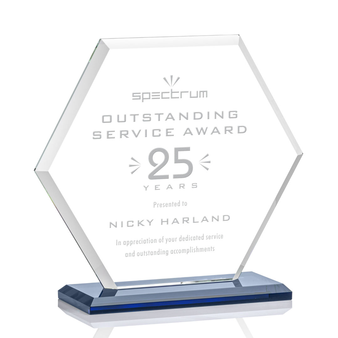 Barnett Award - Blue 6