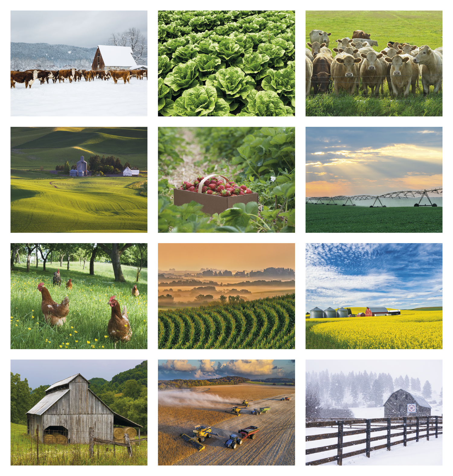 Good Value™ Agriculture - Stapled Calendar 28