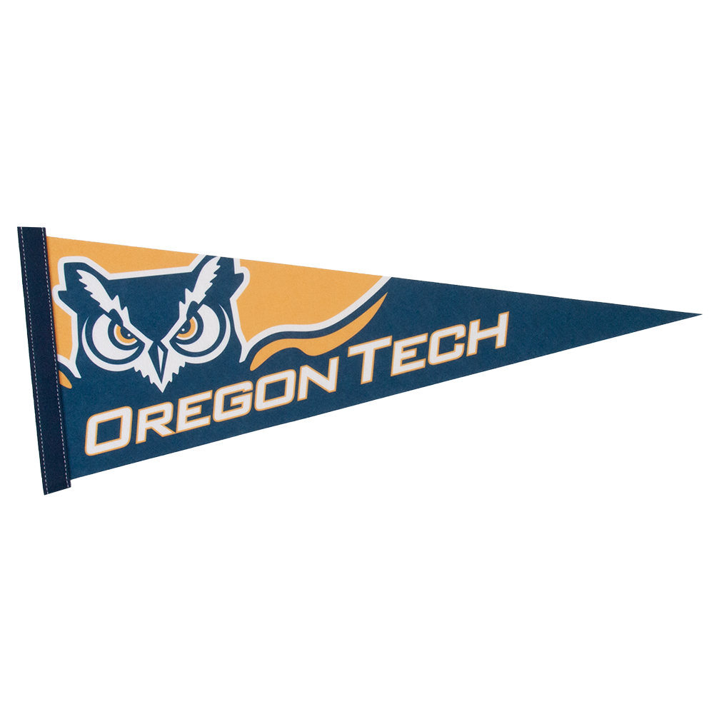 9" x 24" Full Color Felt Pennant 25