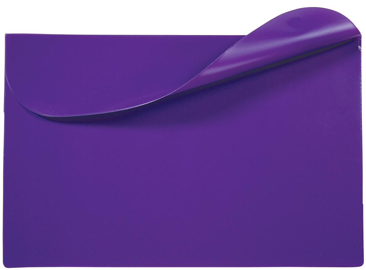 Standard Vinyl Underarm Portfolio 12