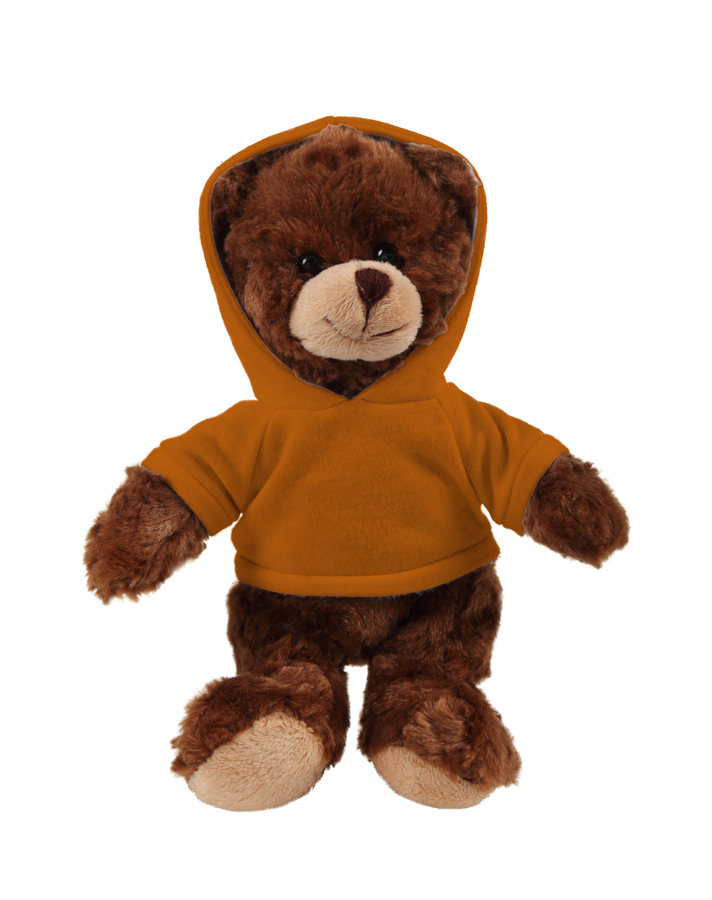 soft plush  Chocolate Curly Sitting Bear with hoodie 5