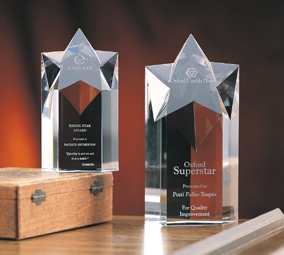 Designer Crystal Mega Star Award 1