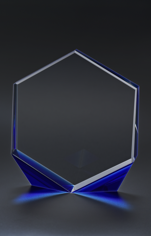 Omni Award 2