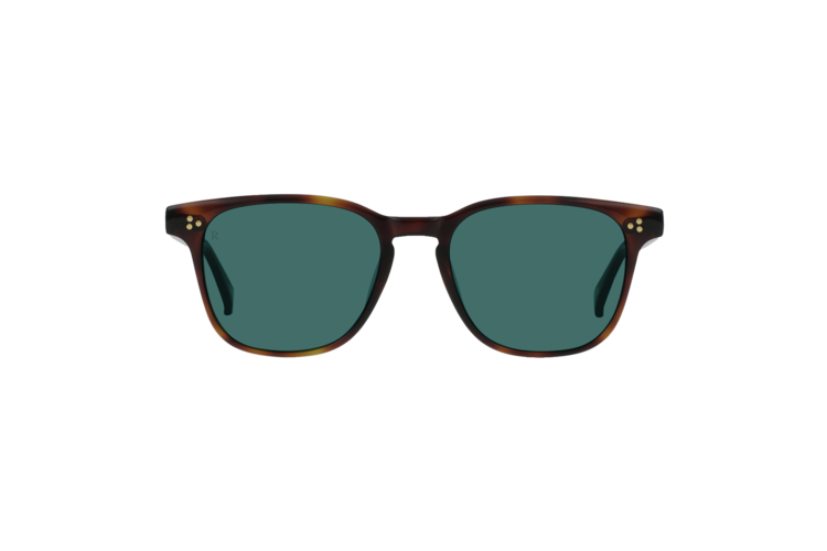 RAEN Alvez Sunglasses 2