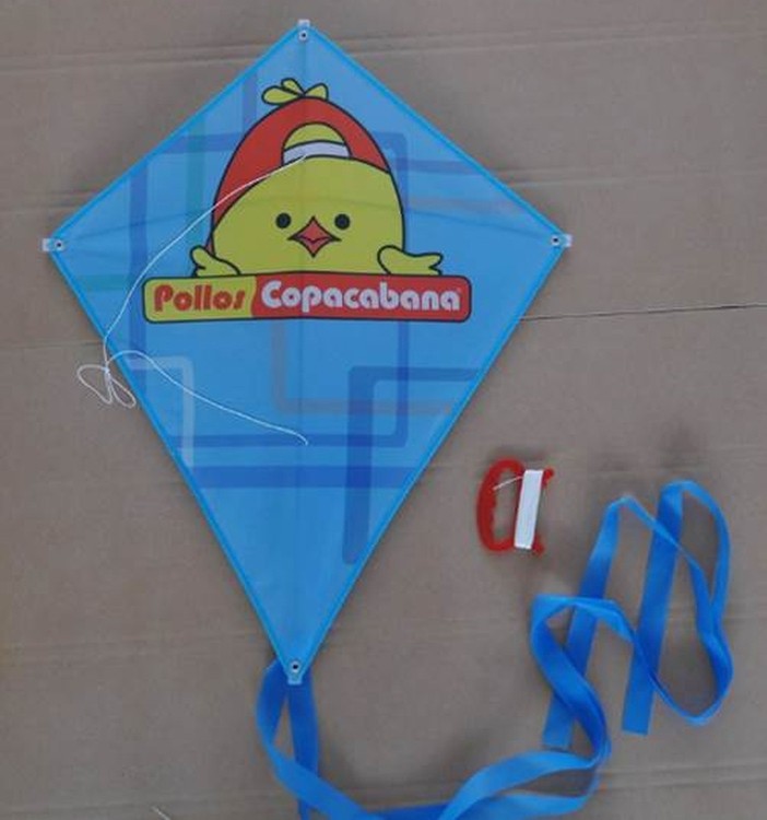 Outdoor Sports Best Promotional Advertising Flying Kite 2