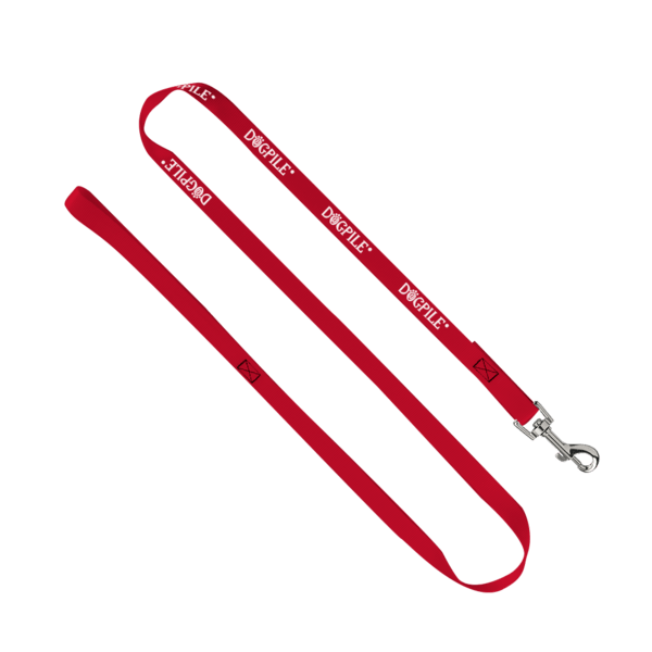 3/4" Smooth Nylon Pet Leash with Bright Metal Snap Hook 2