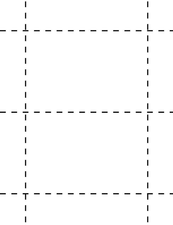 Badge Holder Blank Inserts (4"X6")