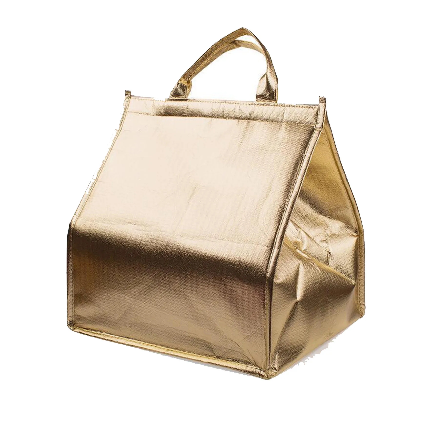 Handheld Insulation Bag 2