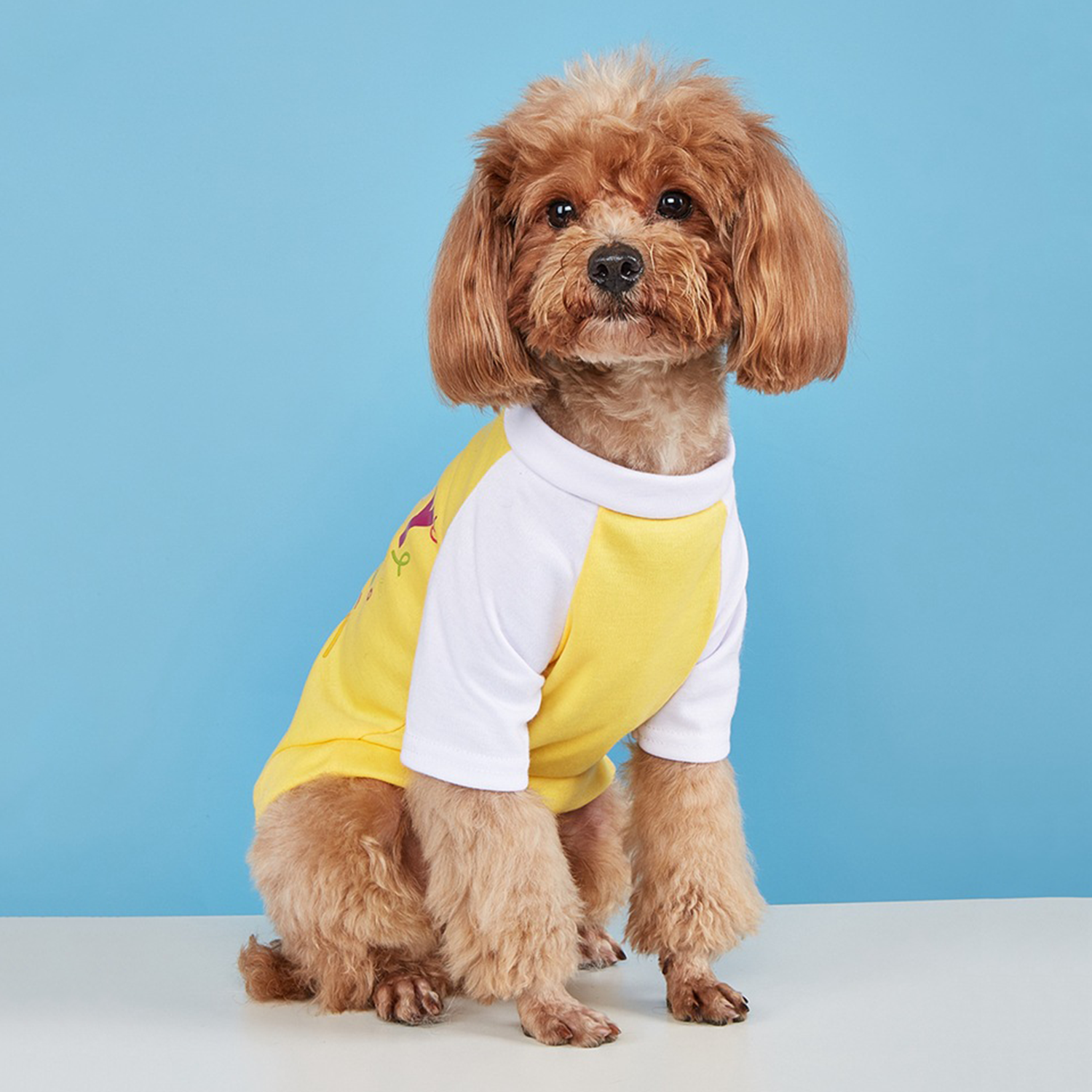 Breathable Stretchy Dog Raglan Shirt 3