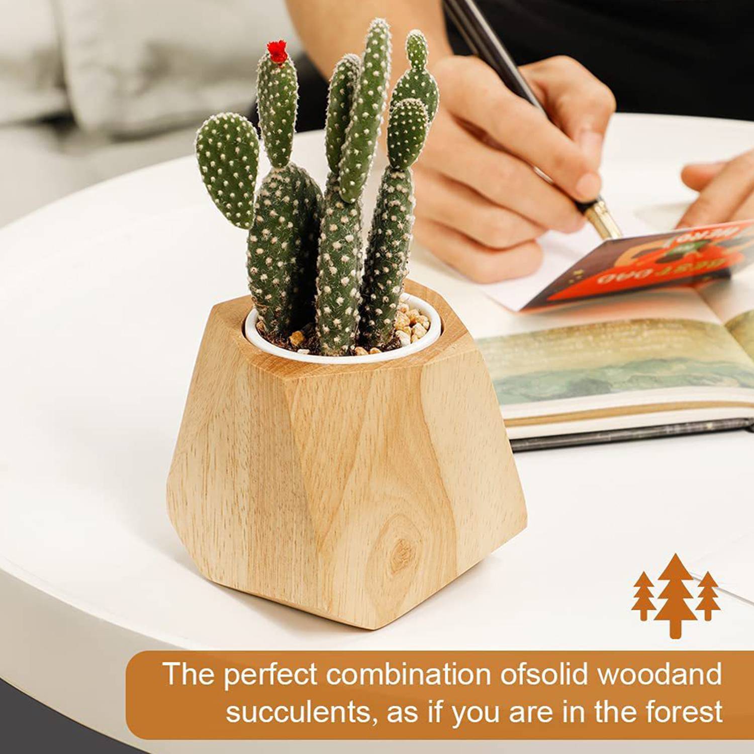 Solid Wood Succulent Flowerpot Container 5