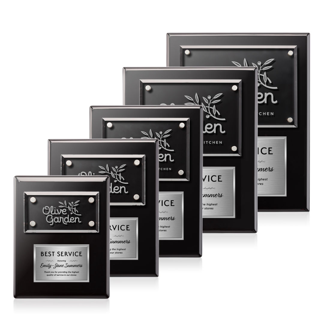 Gossamer Plaque - Black/Silver 5