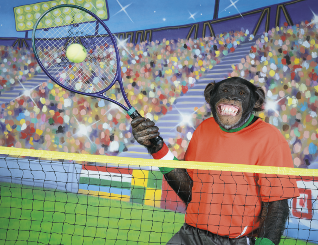 Good Value™ Monkey Mischief - Stapled Calendar 27