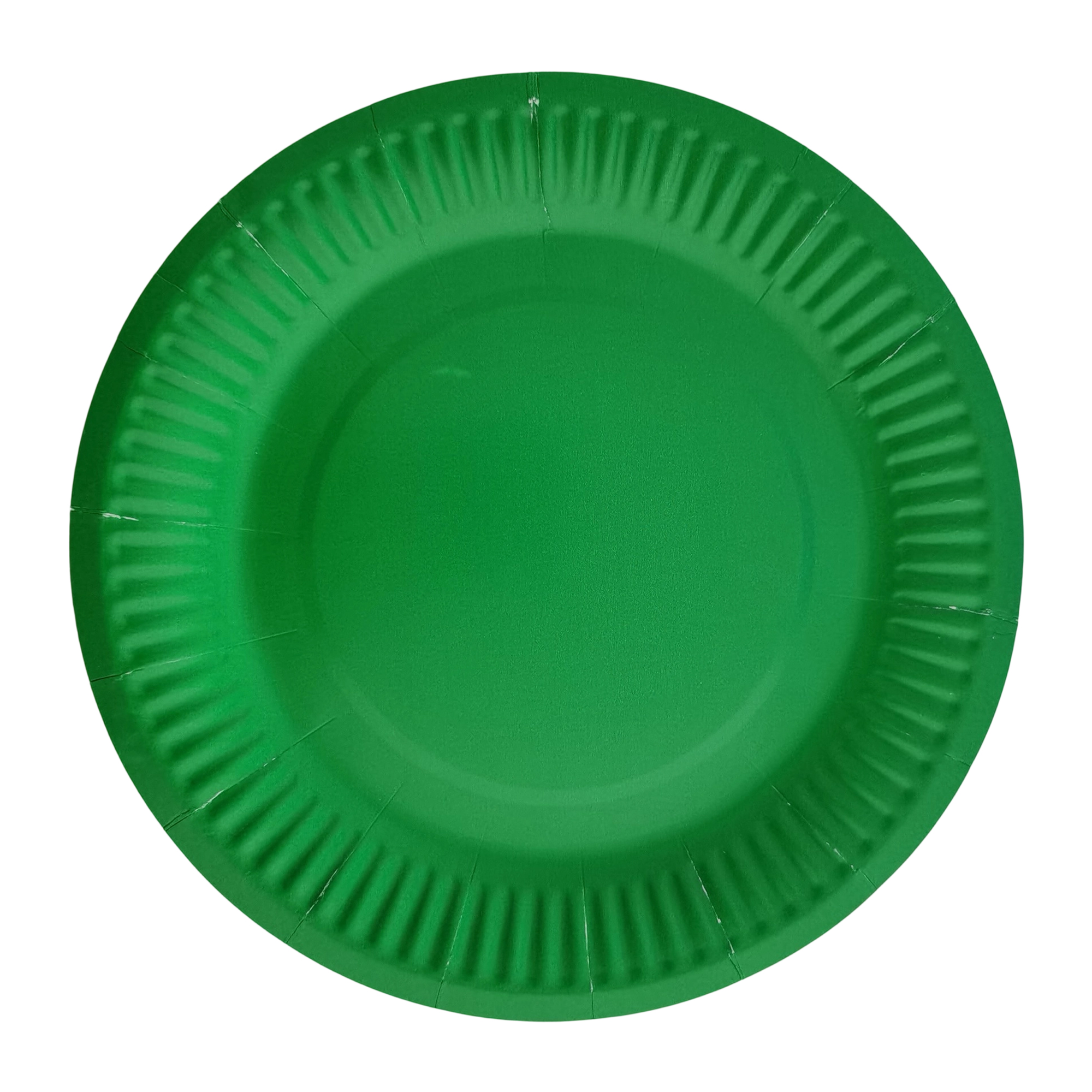 Nine Inch Party Paper Plate Food Safe Disposable 10