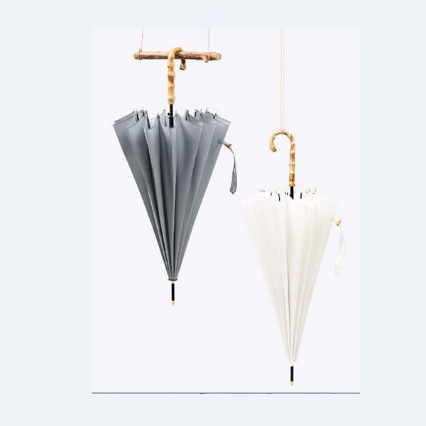 Umbrella 2