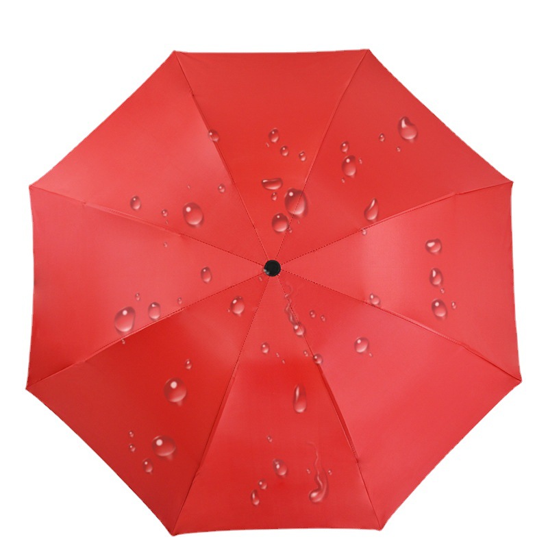 Rain And Shine Umbrella 3