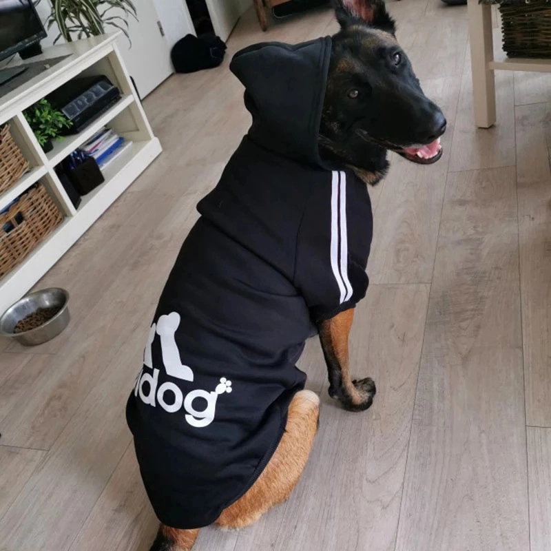 Letters Winter Pet Dog Hoodies Cotton Warm Clothes 6