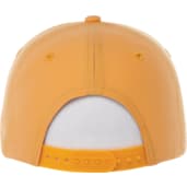 Unisex DOMINATE Ballcap 385