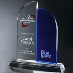 Brigadier Award 8