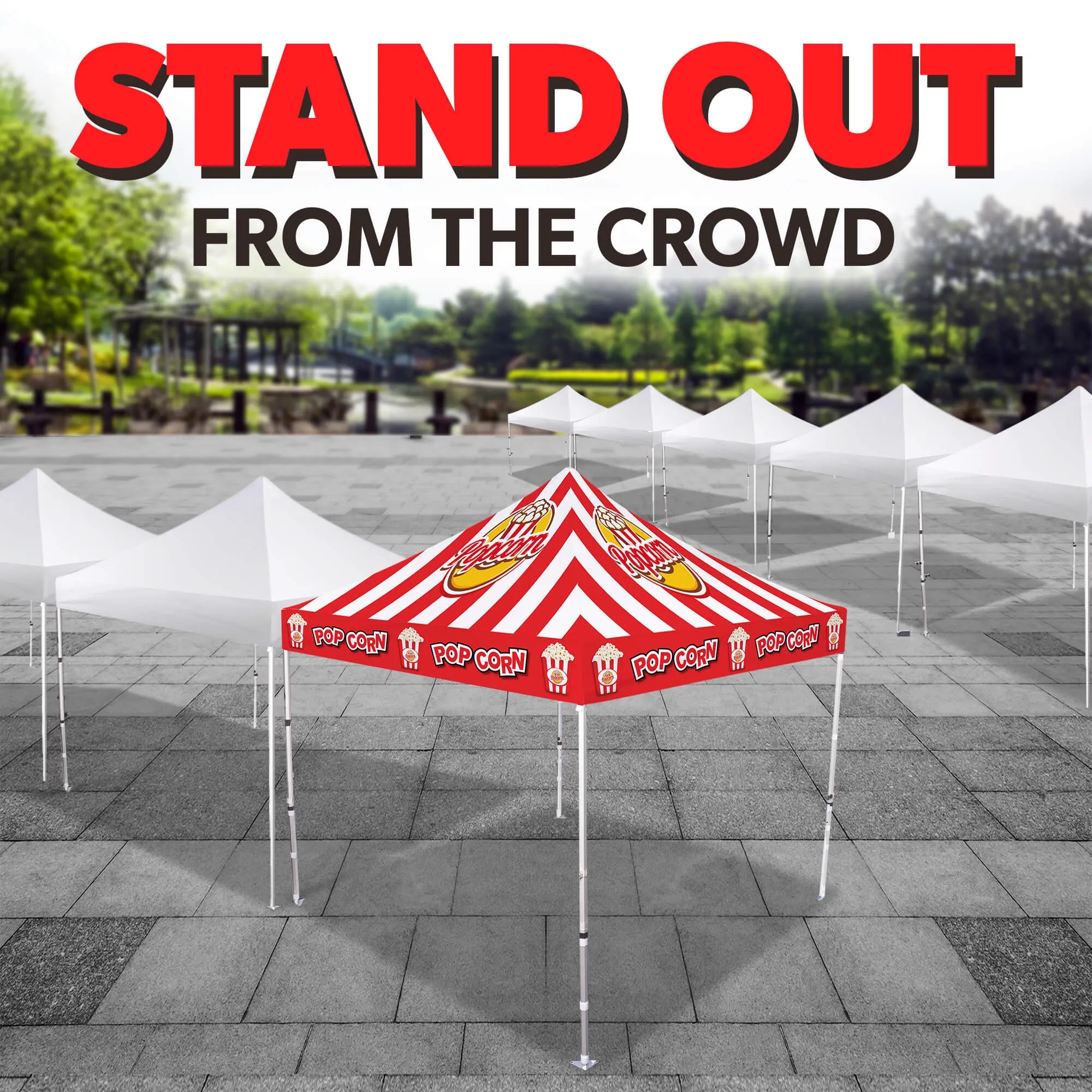 10ft x 10ft Custom Canopy Tent - Everyday Basic Package 5