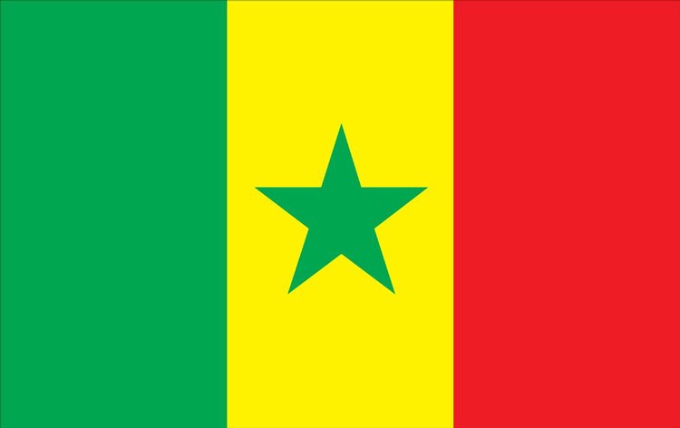 Senegal Flag - 5' x 8' - Nylon 1