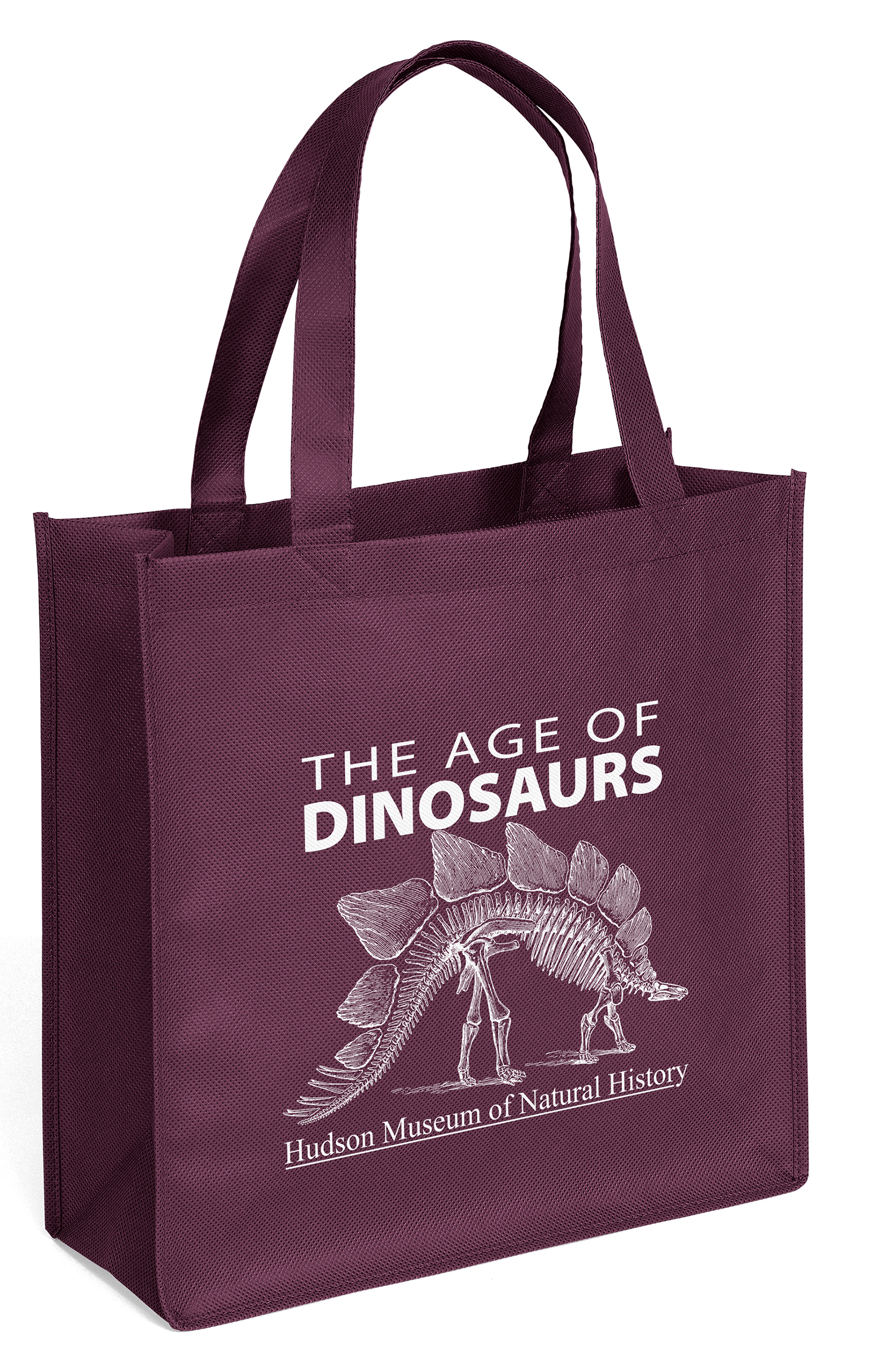 Abe - Celebration Tote - Screen Print 13