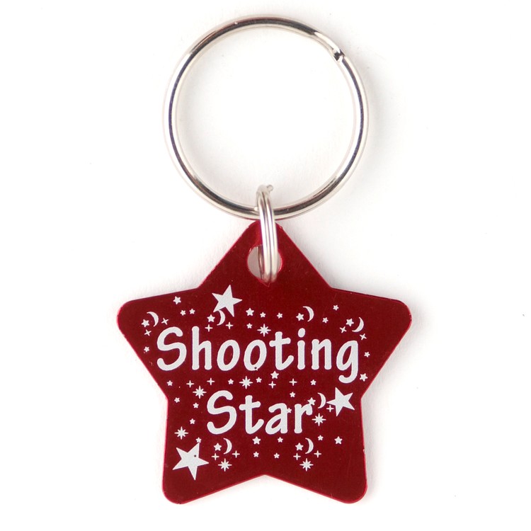 Star Key Chain 4