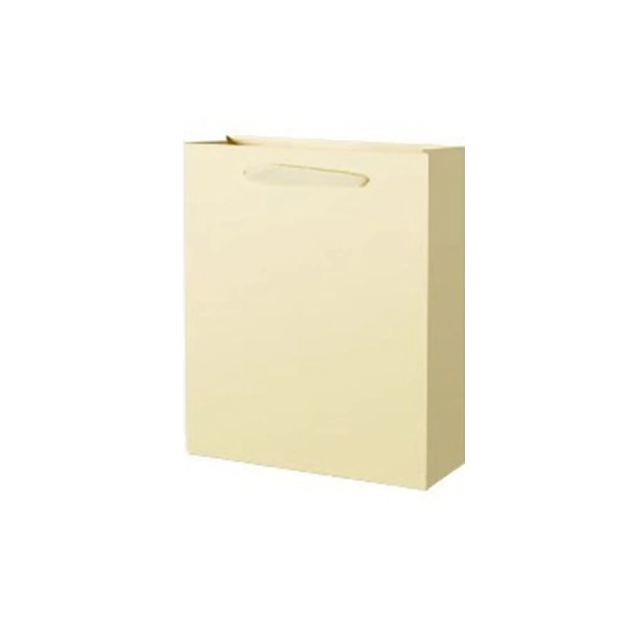 White Card Paper Bag 5.52inch 10