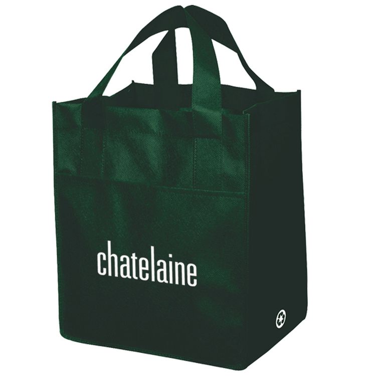 Non Woven Carry All Bag 10