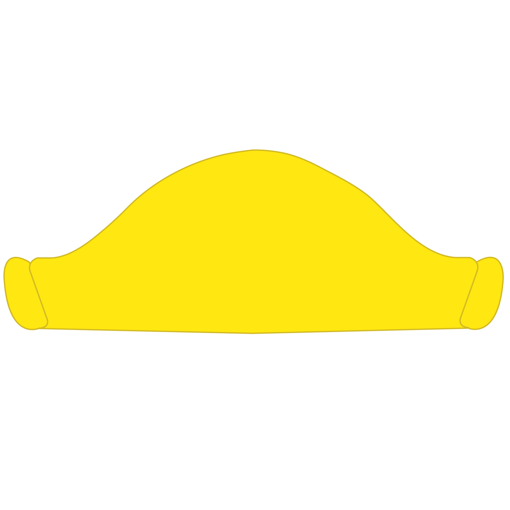 Pirate Hat 31