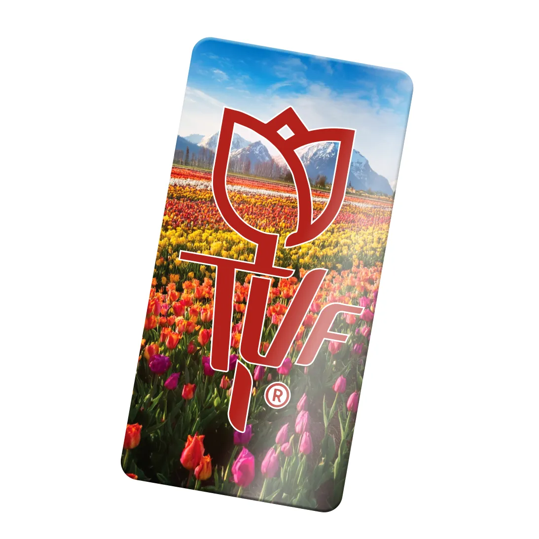 Custom Vinyl Stickers 4