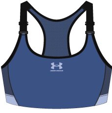 HeatGear Armour High Women's Sports Bra 1
