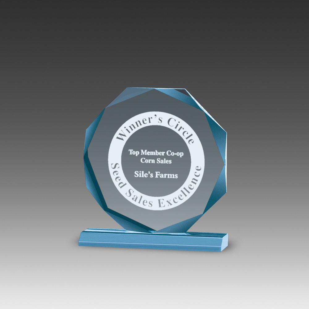 Premium Beveled Octagon Award (7"x7") 2