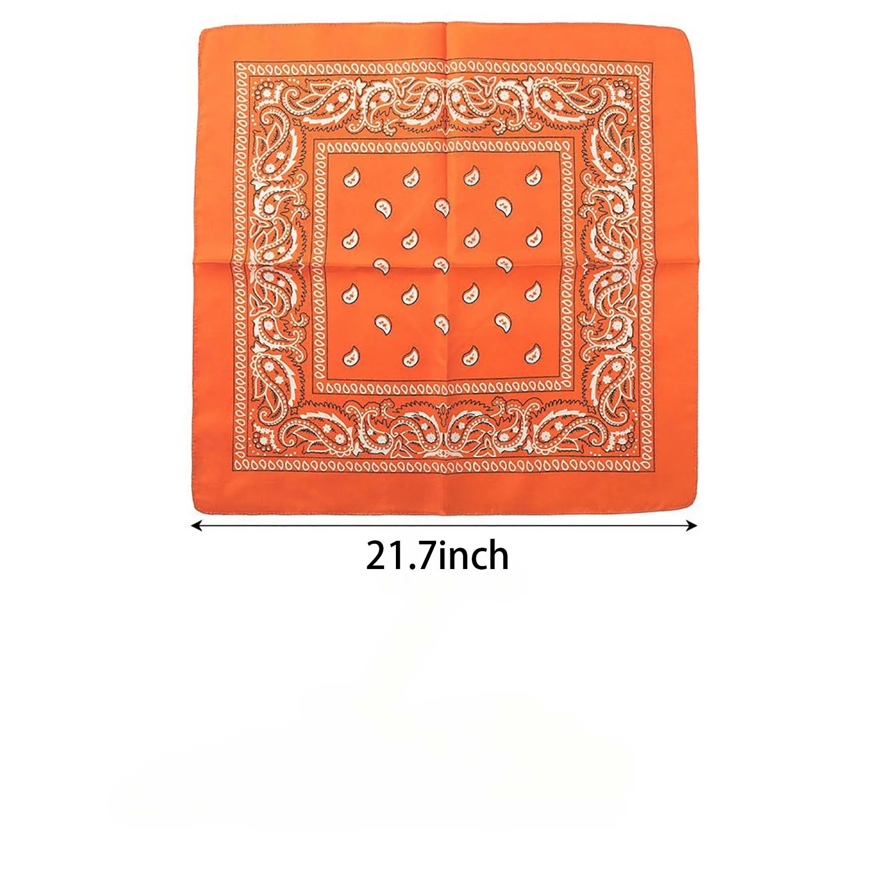 Multi-Purpose Bandanas Paisley 13