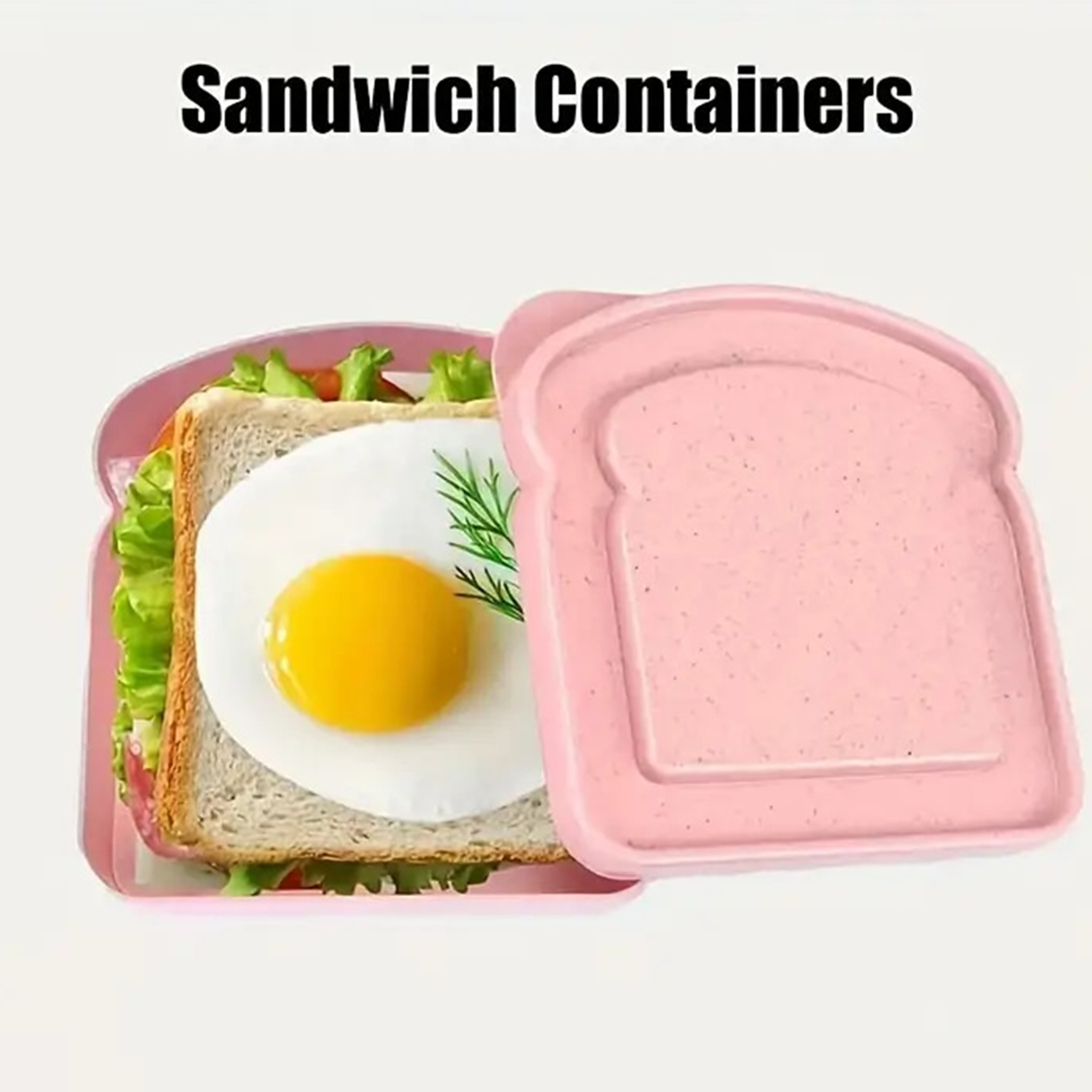Plastic Large Capacity Portable Bento Box 4