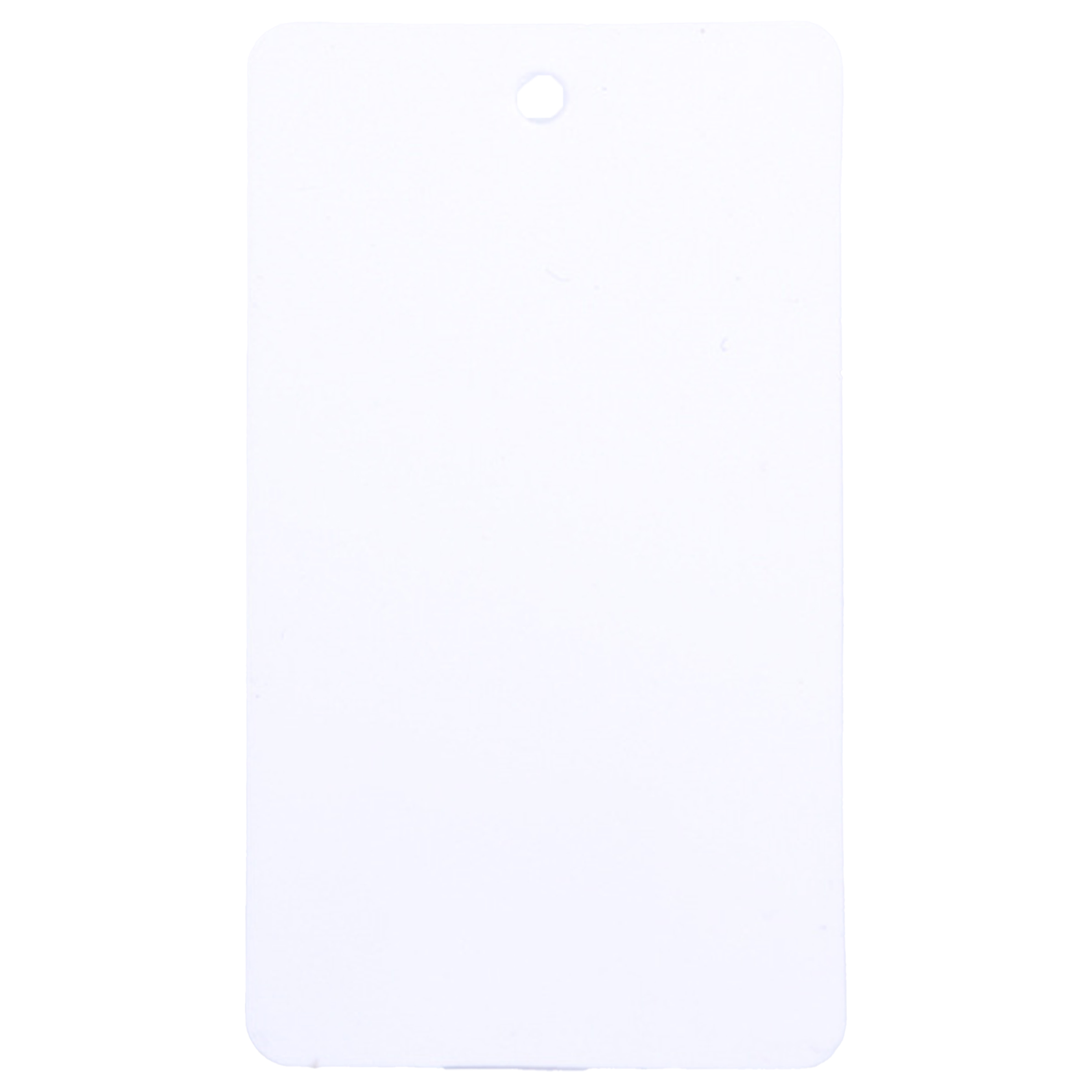 Plastic Waterproof Blank Tags 13