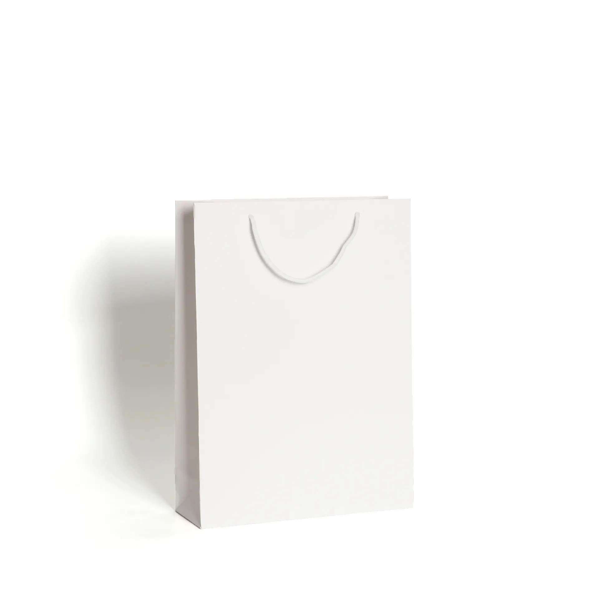 Small Gift Paper Bag Recyclable 2