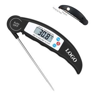Thermometer 4