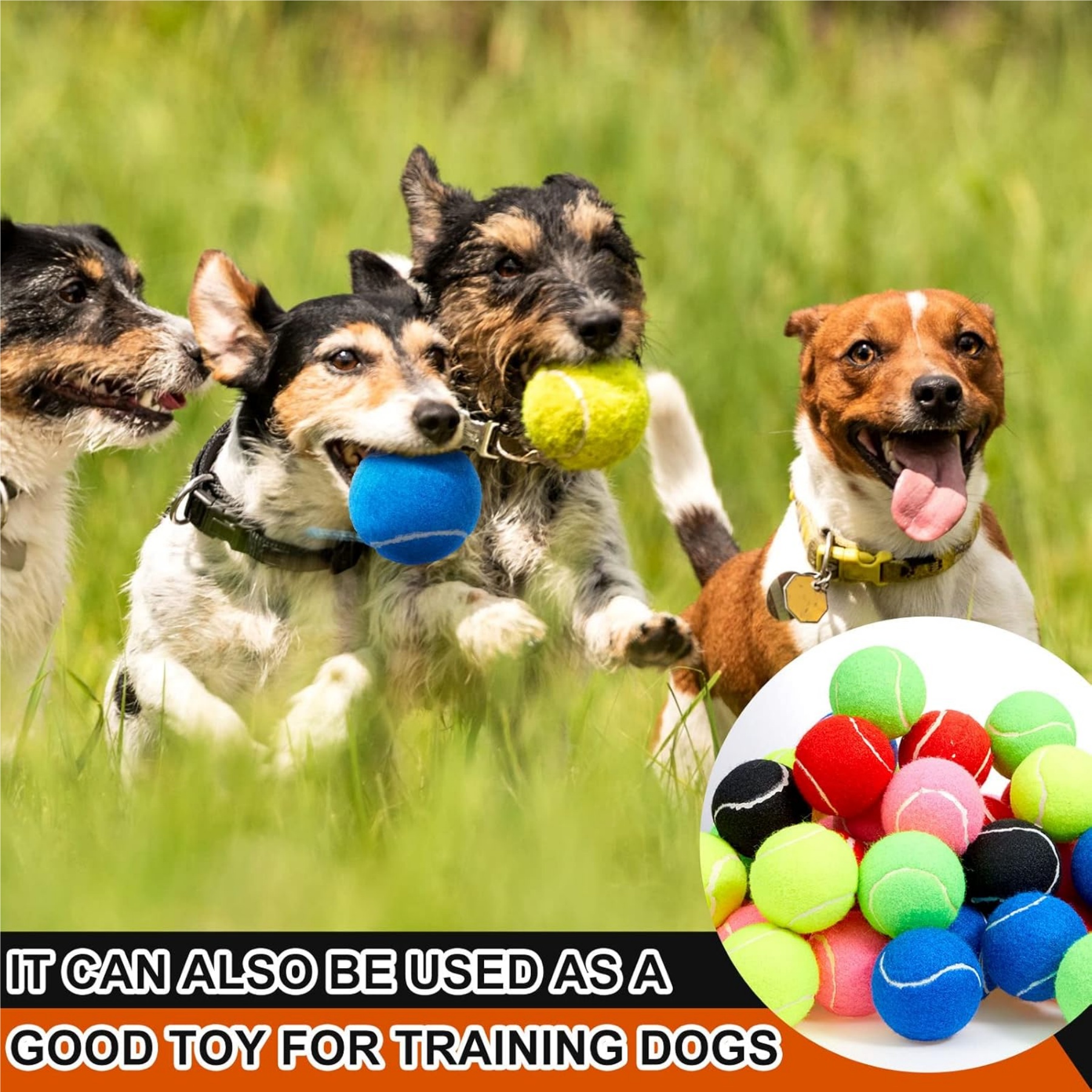 Dog Playing Toy Tennis Training Ball 2