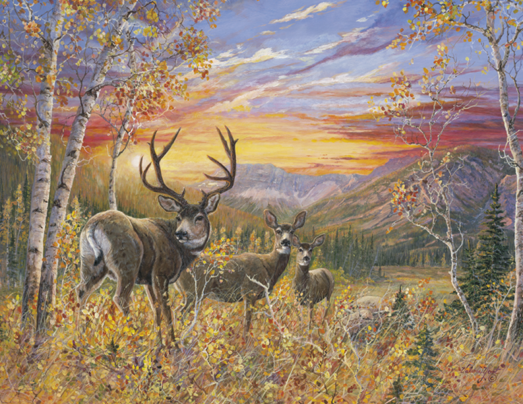 HotLine® Products Wildlife Collection Appointment Calendar - Stapled 33