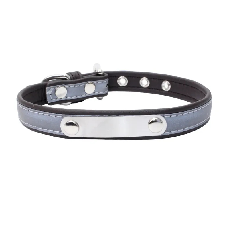 Dog Collar Engraved Id Name Tag 5