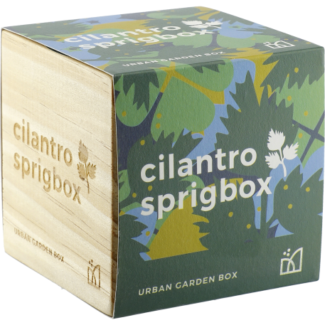 Sprigbox Cilantro Grow Kit 8