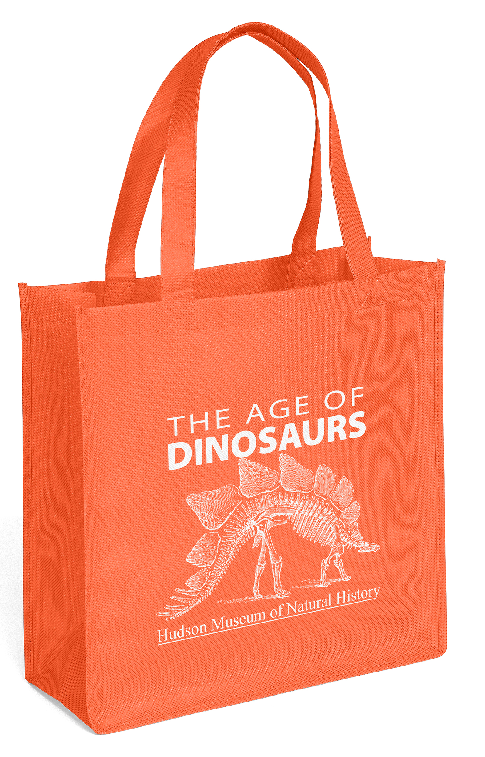 Abe - Celebration Tote - Screen Print 4