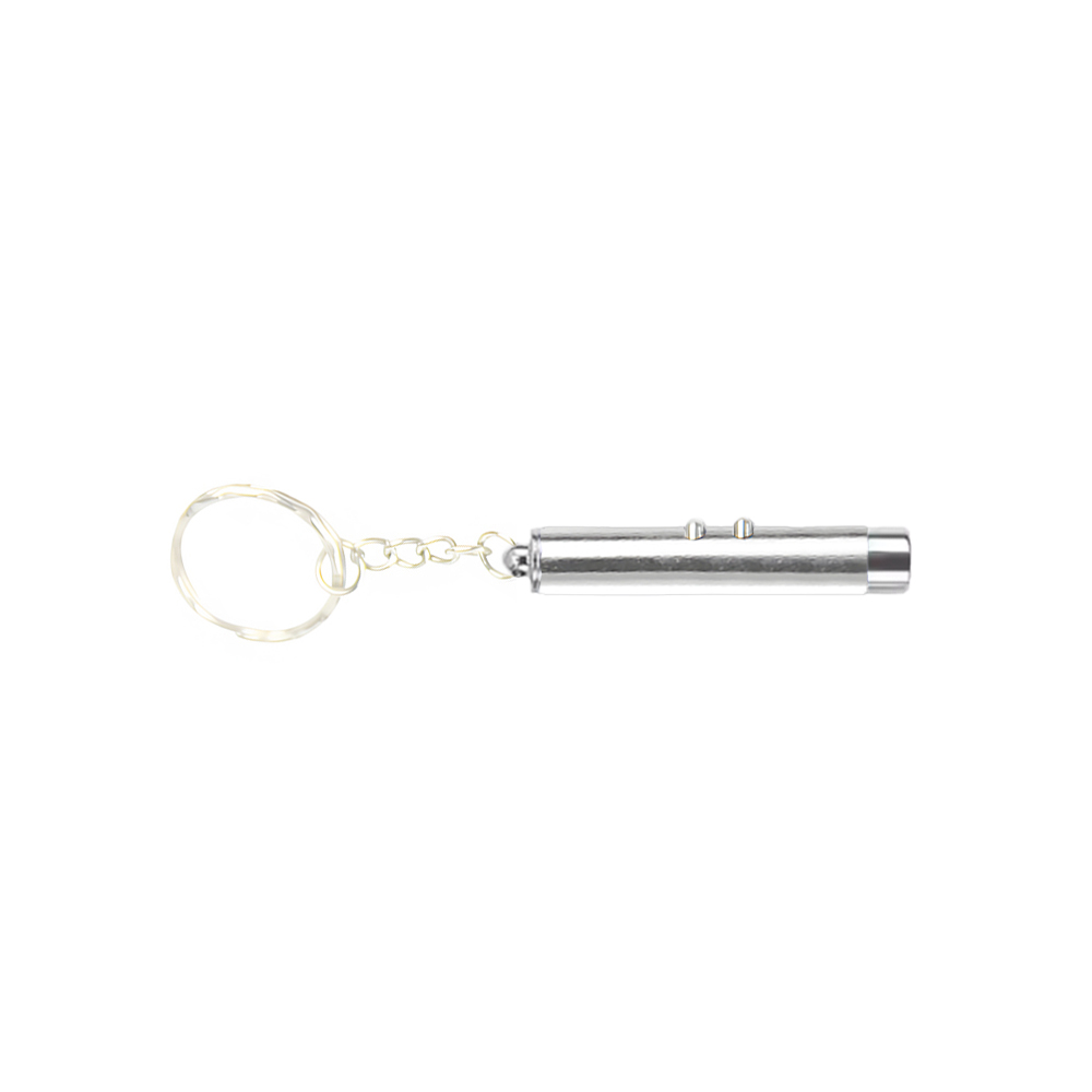 Laser Pointer Keychain With LED Flashlight 5