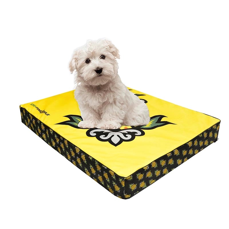 Dog Bed Pillow 4