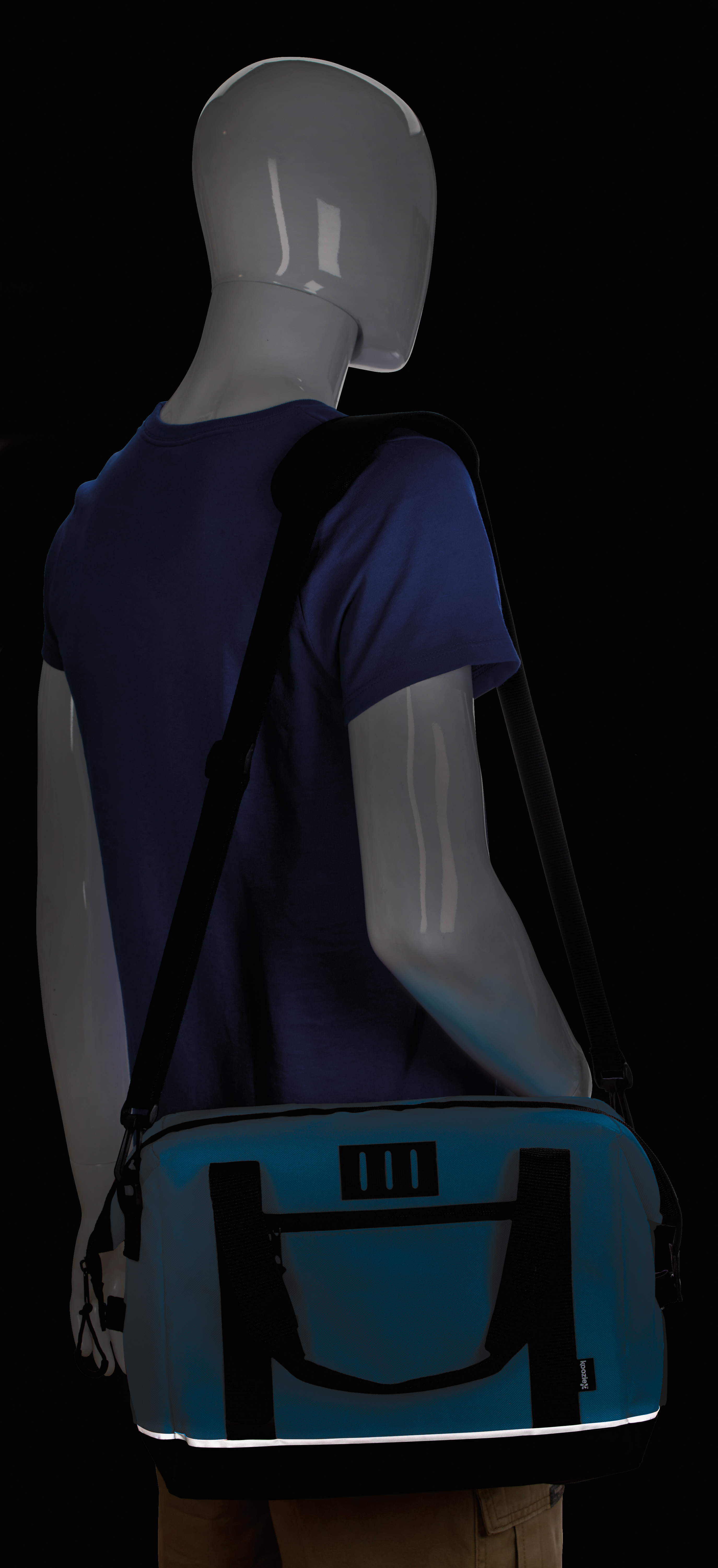 Rogue 12-Pack Cooler