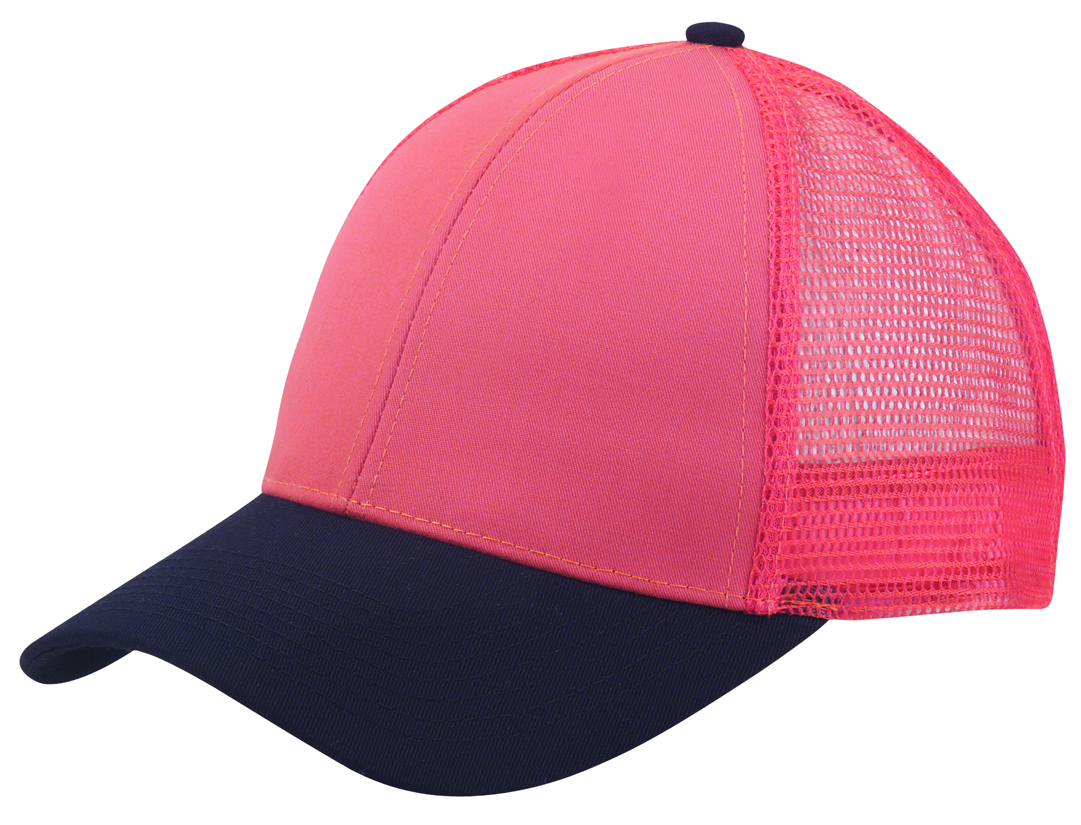 Pennsylvania Low Profile Trucker Hat 3